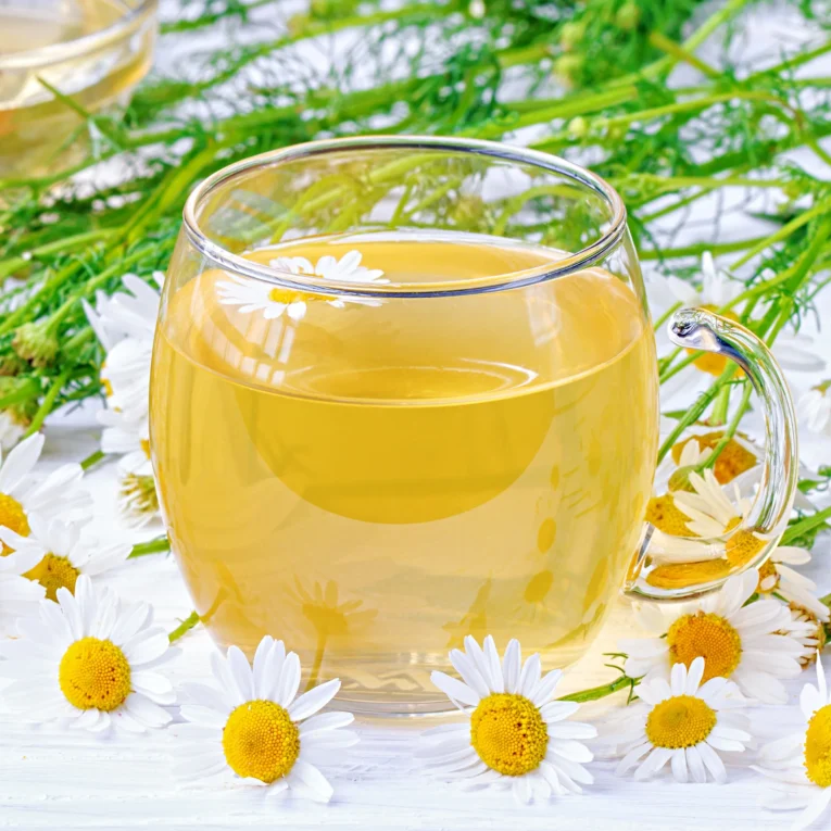 chamonile tea