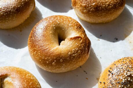 Plain Bagel